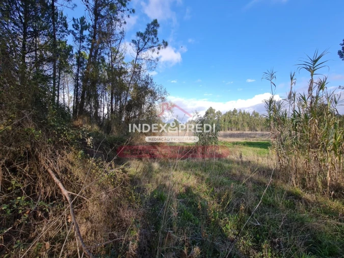 Terreno para Venda em Covões e Camarneira Foto 4