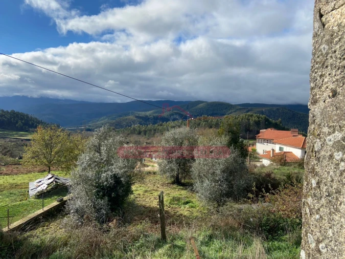 Moradia T3 para Venda em Canelas e Espiunca Foto 29