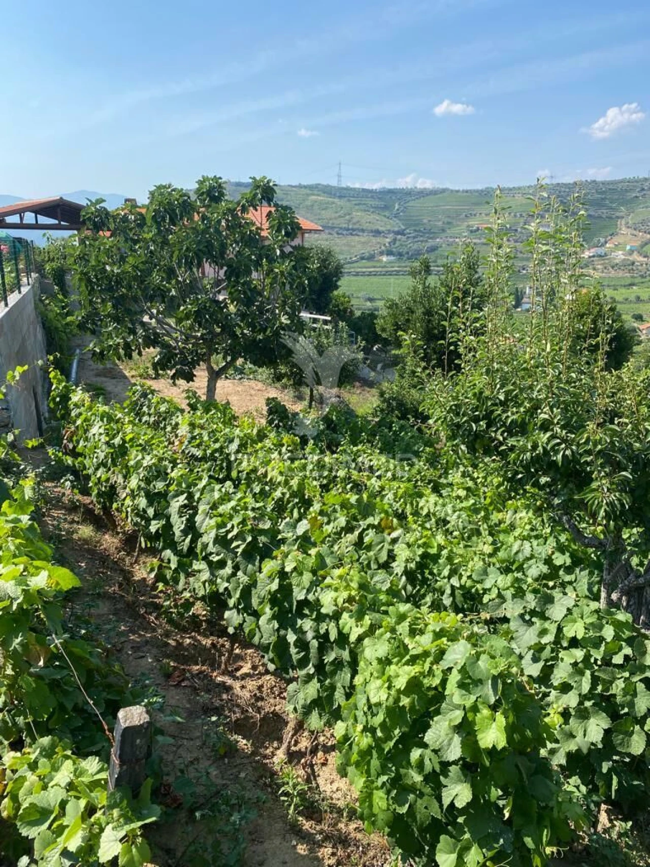 Terreno para Venda em Parada do Bispo e Valdigem Foto 12