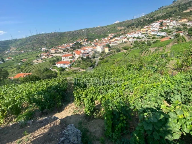 Terreno para Venda em Parada do Bispo e Valdigem Foto 20