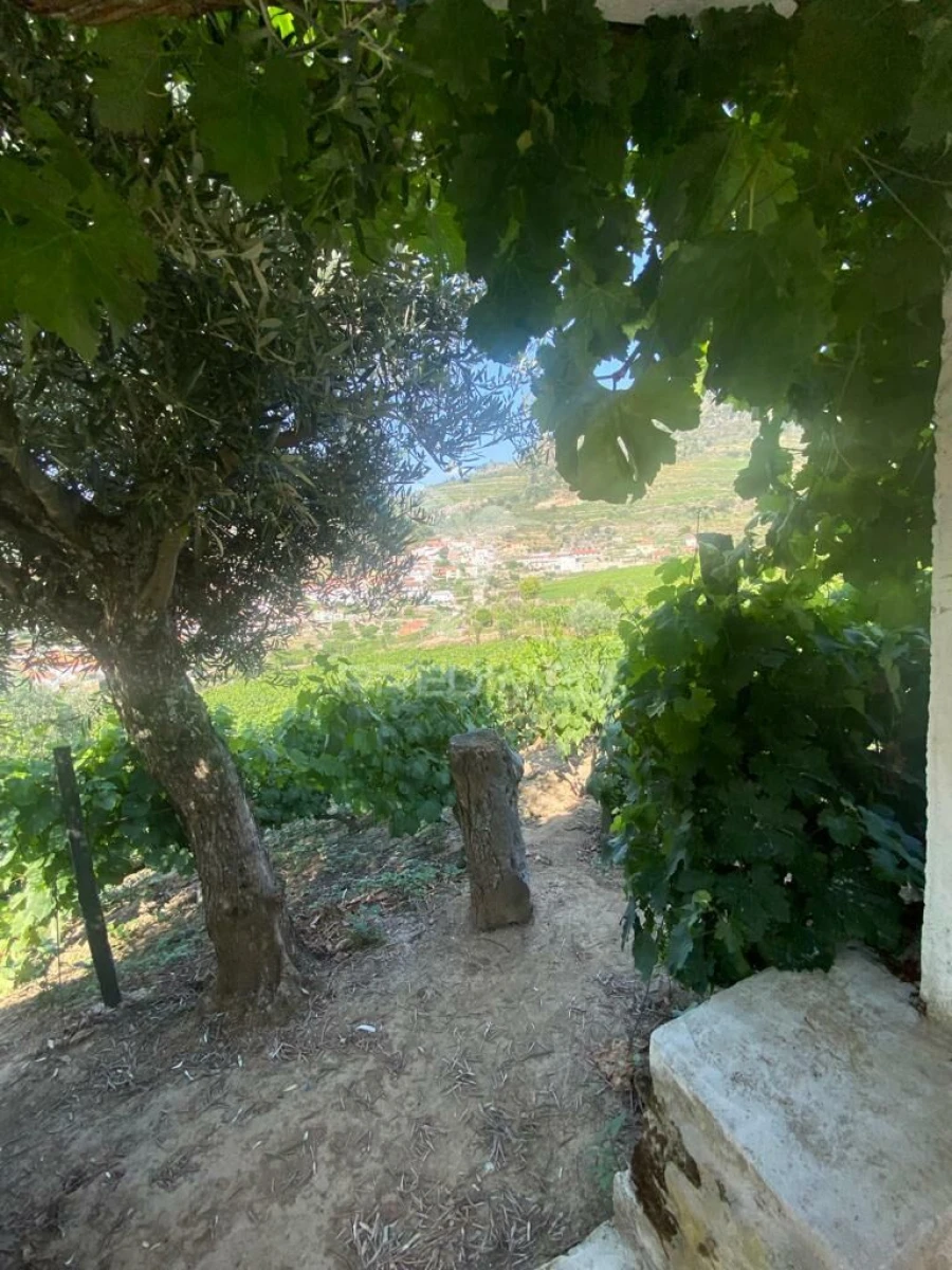 Terreno para Venda em Parada do Bispo e Valdigem Foto 7