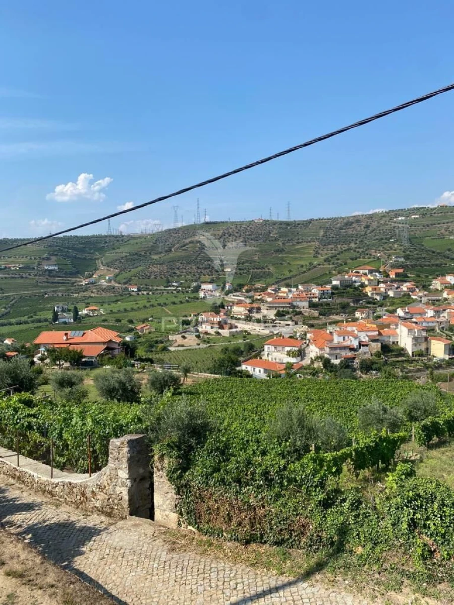 Terreno para Venda em Parada do Bispo e Valdigem Foto 13