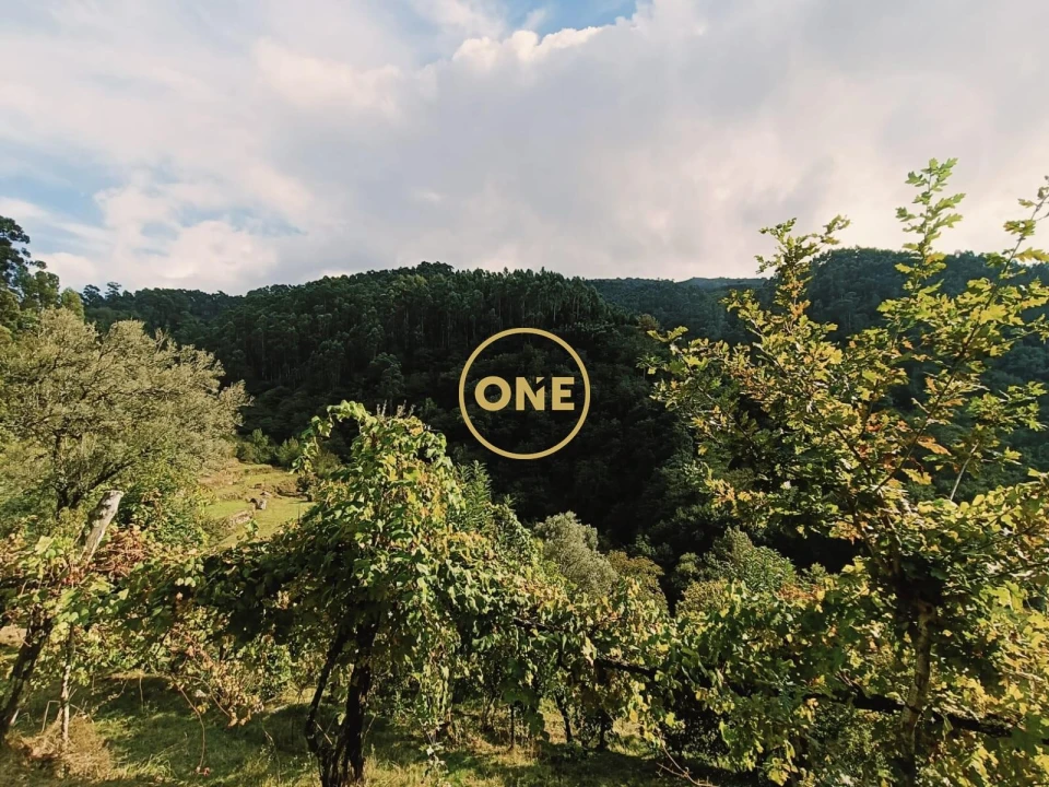 Terreno para Venda em Carvalheira Foto 11