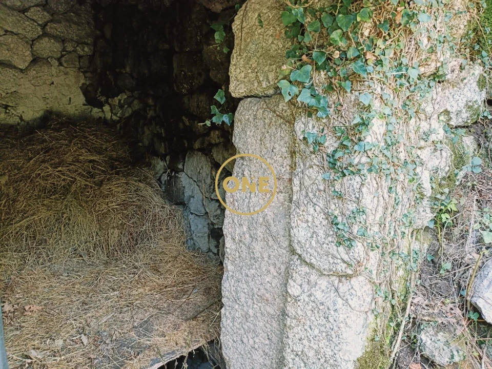 Terreno para Venda em Carvalheira Foto 19