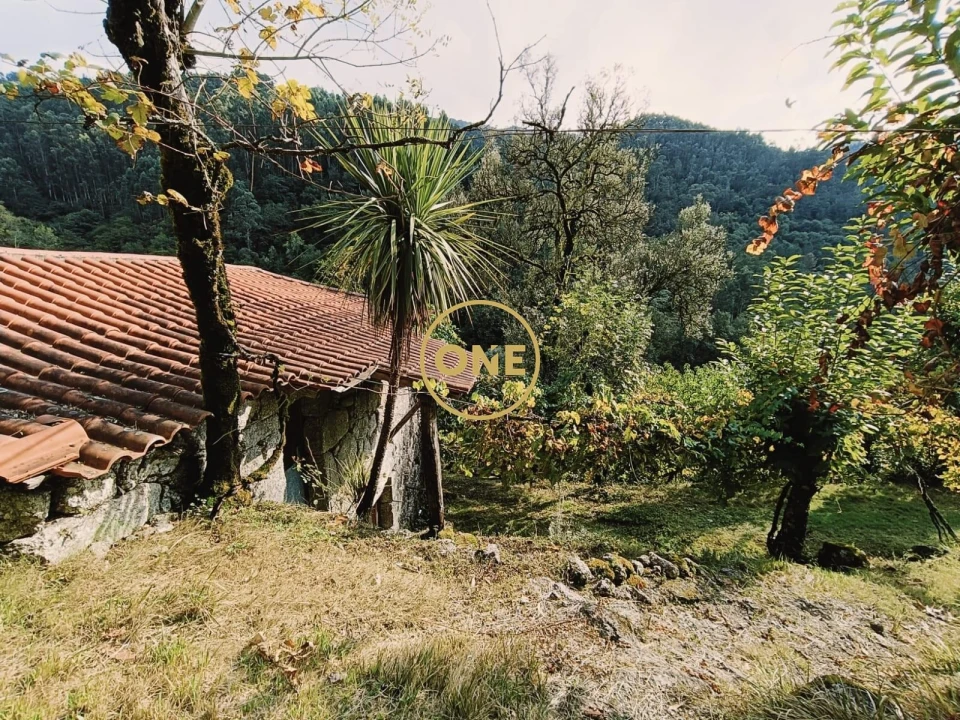 Terreno para Venda em Carvalheira Foto 7