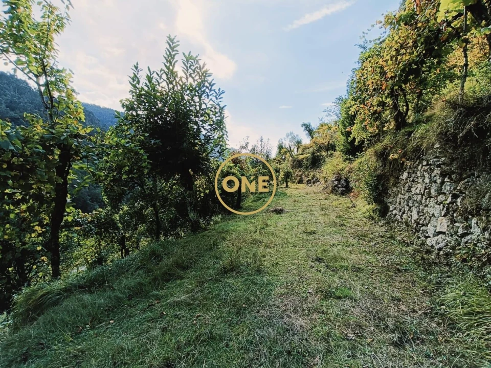 Terreno para Venda em Carvalheira Foto 14