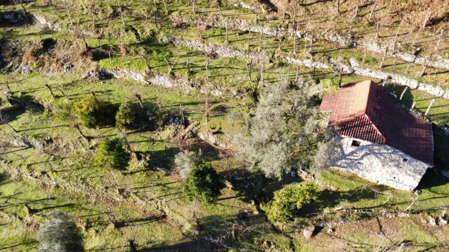 Terreno para Venda em Carvalheira Foto 26