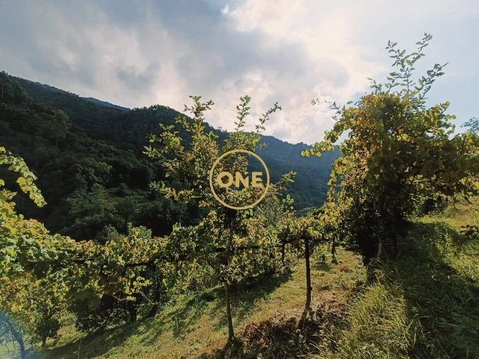 Terreno para Venda em Carvalheira Foto 16