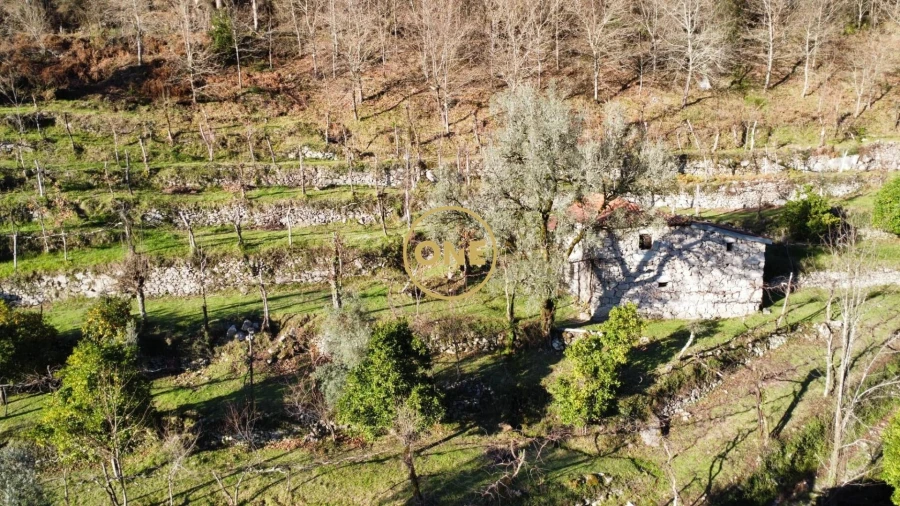 Terreno para Venda em Carvalheira Foto 27