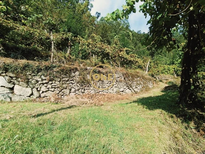 Terreno para Venda em Carvalheira Foto 12