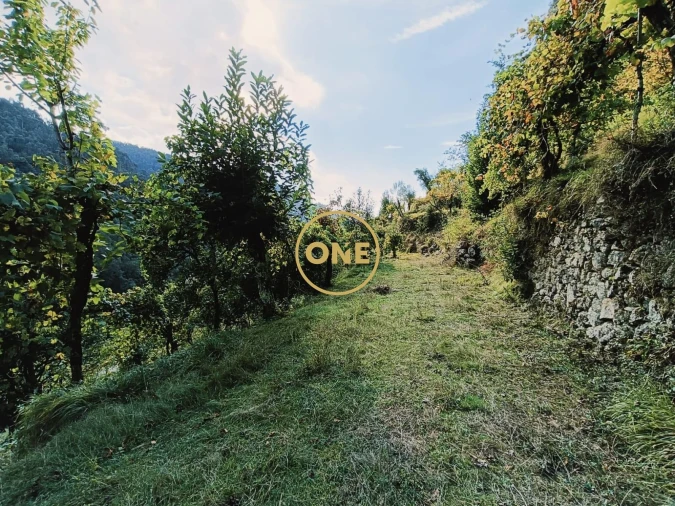 Terreno para Venda em Carvalheira Foto 14