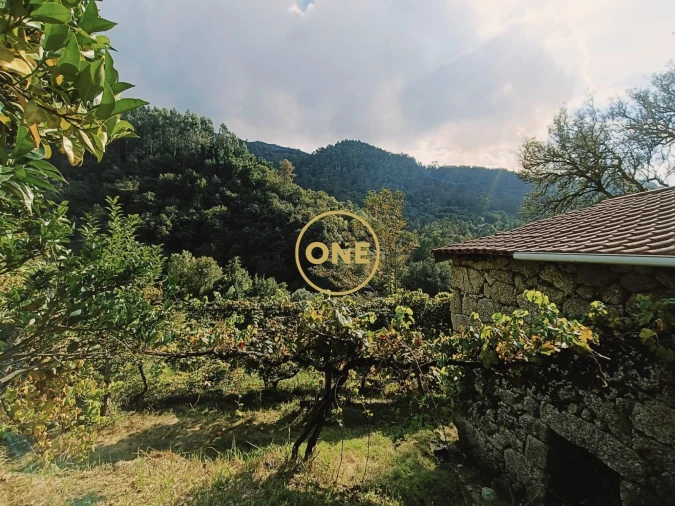 Terreno para Venda em Carvalheira Foto 13