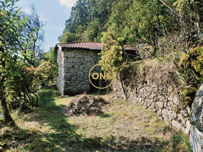 Terreno para Venda em Carvalheira Foto 2