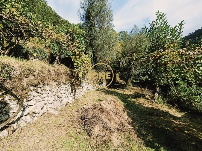 Terreno para Venda em Carvalheira Foto 18