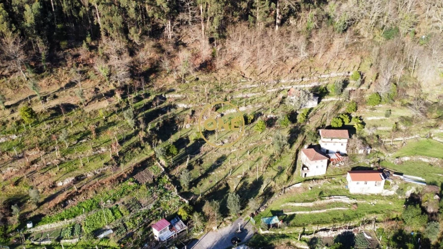 Terreno para Venda em Carvalheira Foto 24