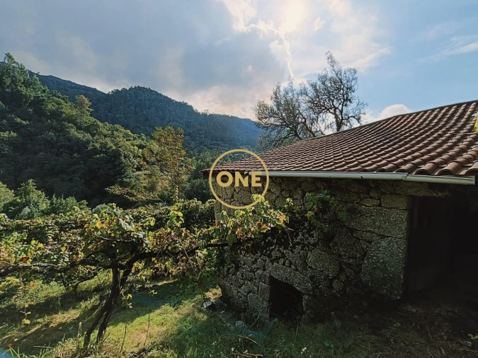 Terreno para Venda em Carvalheira