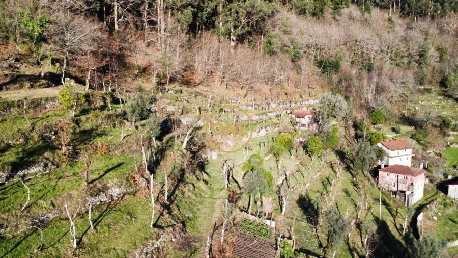 Terreno para Venda em Carvalheira Foto 20