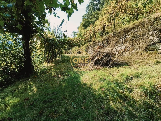 Terreno para Venda em Carvalheira Foto 10