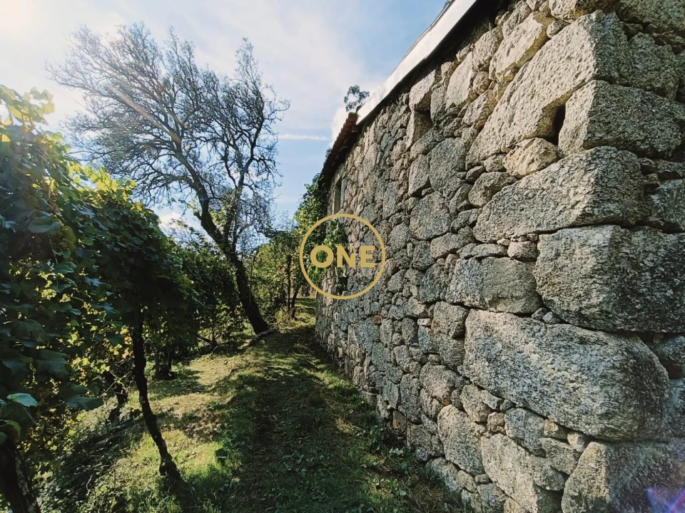 Terreno para Venda em Carvalheira Foto 4