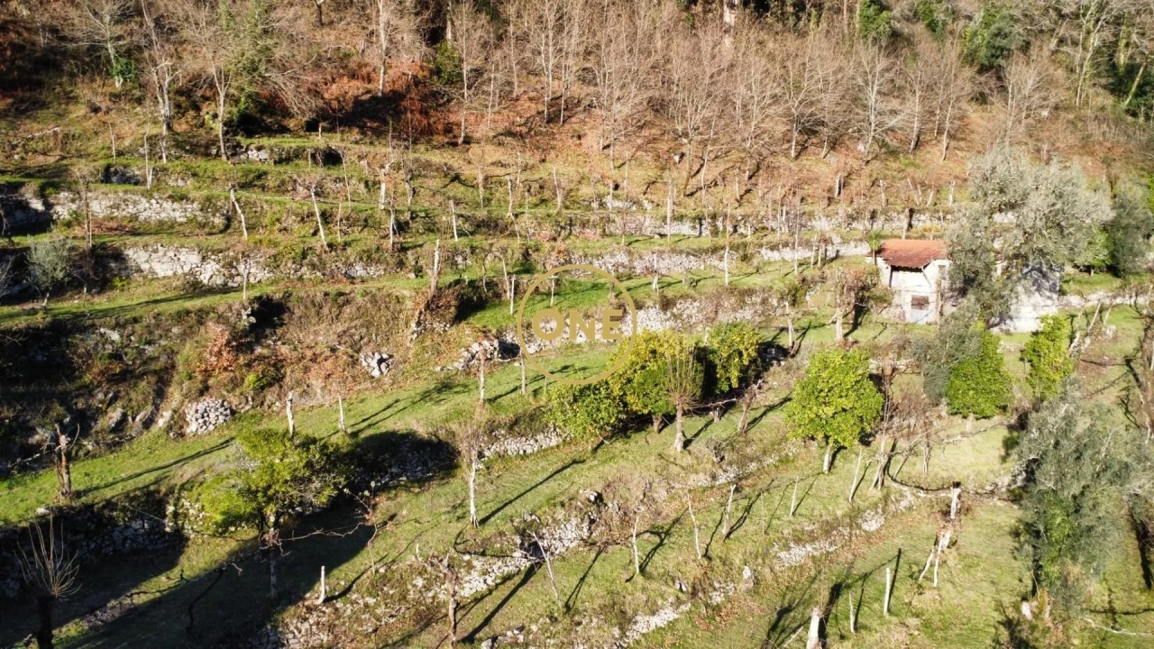 Terreno para Venda em Carvalheira Foto 22