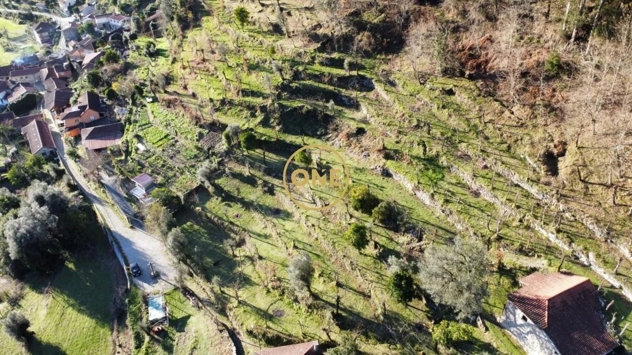 Terreno para Venda em Carvalheira Foto 25