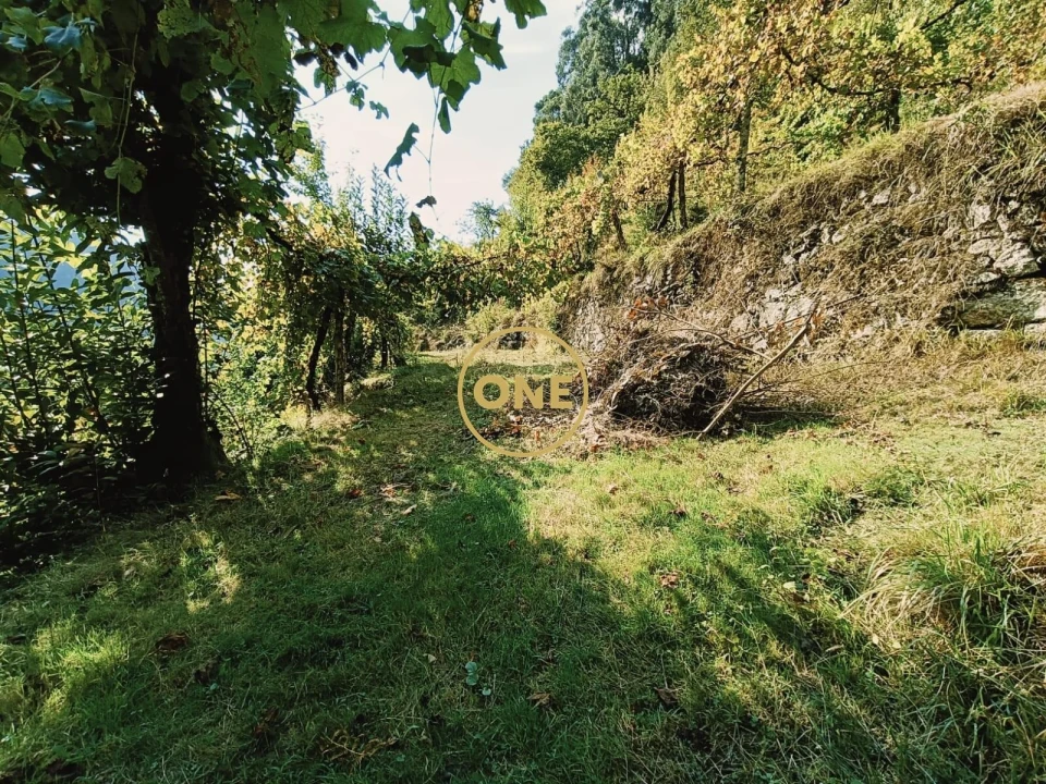 Terreno para Venda em Carvalheira Foto 10