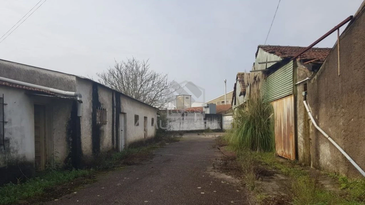 Terreno para Venda em Águeda e Borralha Foto 8