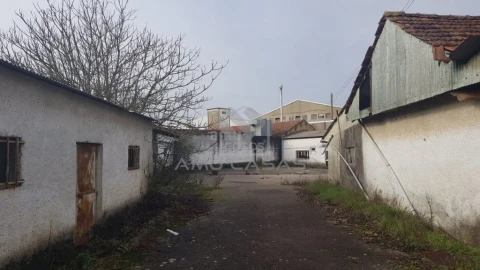 Terreno para Venda em Águeda e Borralha