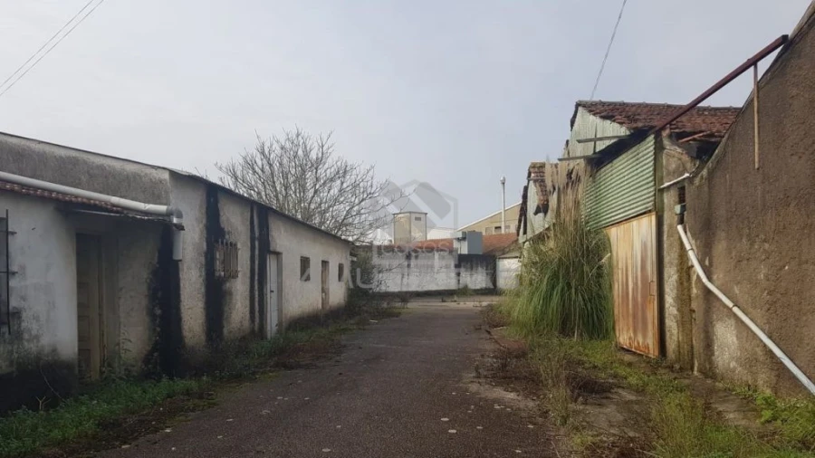 Terreno para Venda em Águeda e Borralha Foto 8