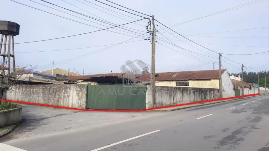 Terreno para Venda em Águeda e Borralha Foto 4