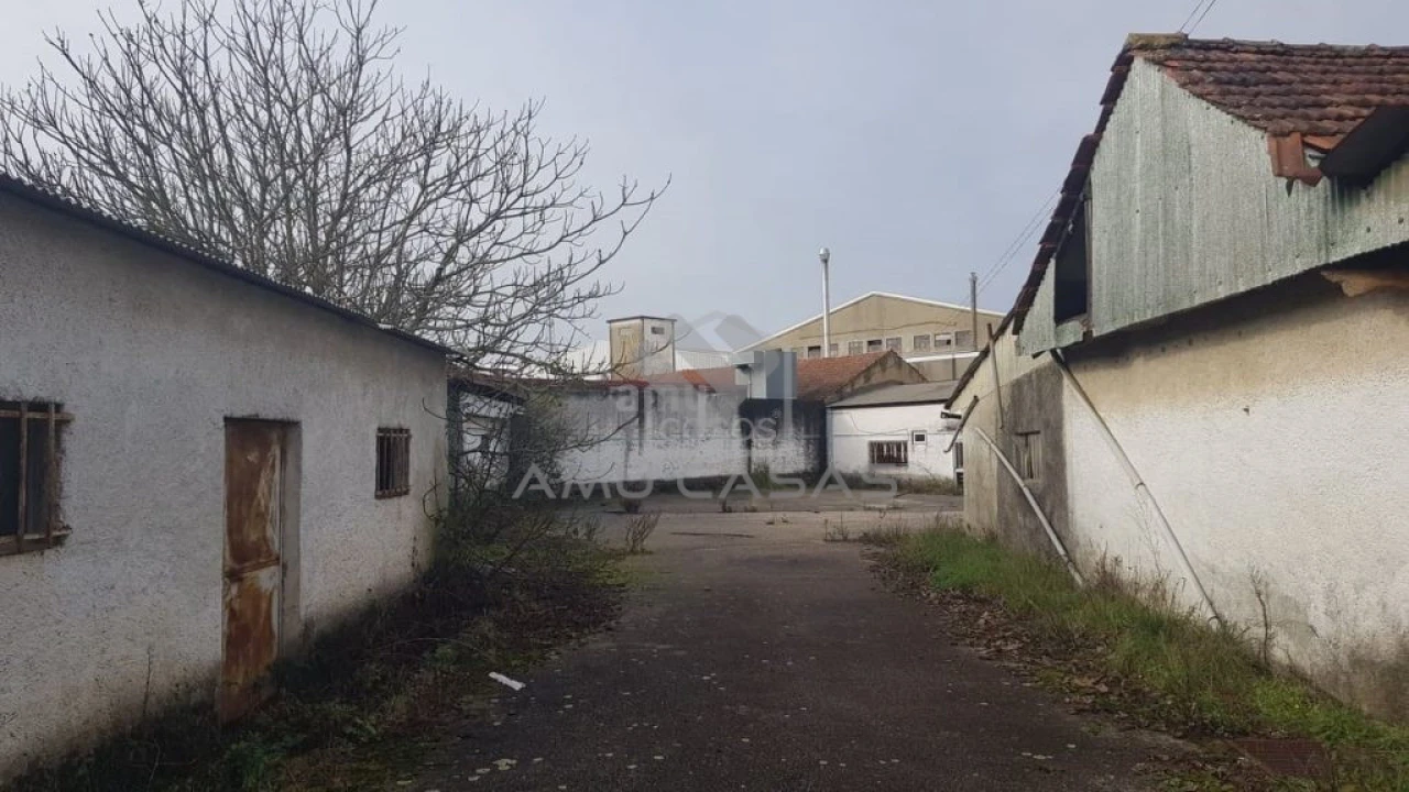 Terreno para Venda em Águeda e Borralha Foto 9