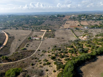 Terreno para Venda em Luz