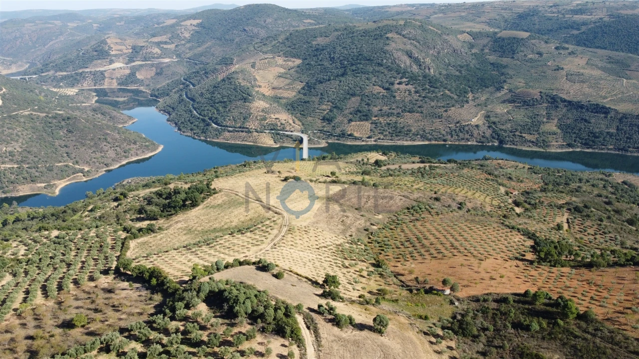 Quinta T0 para Venda em Castro Vicente Foto 2