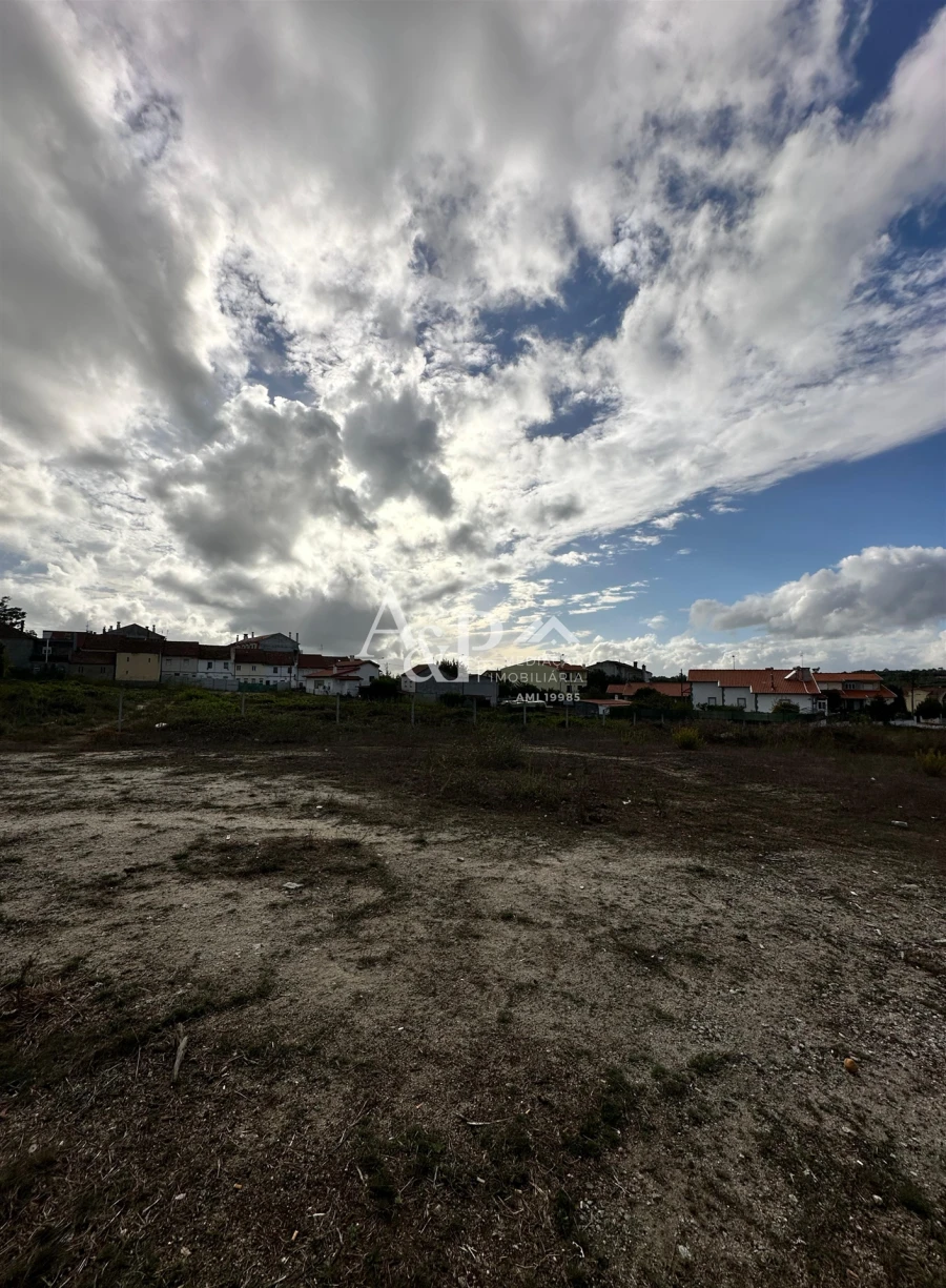Terreno para Venda em Nelas Foto 3