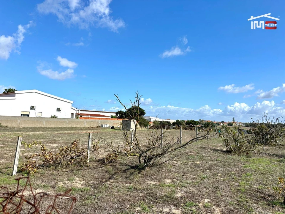 Terreno Agricola ou Rústico para Venda em Montijo e Afonsoeiro Foto 12