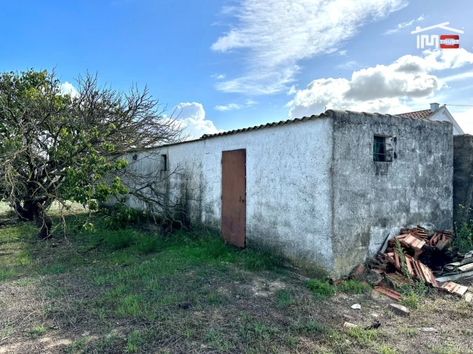 Terreno Agricola ou Rústico para Venda em Montijo e Afonsoeiro Foto 2