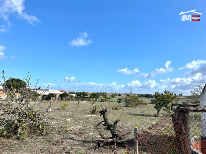 Terreno Agricola ou Rústico para Venda em Montijo e Afonsoeiro Foto 18
