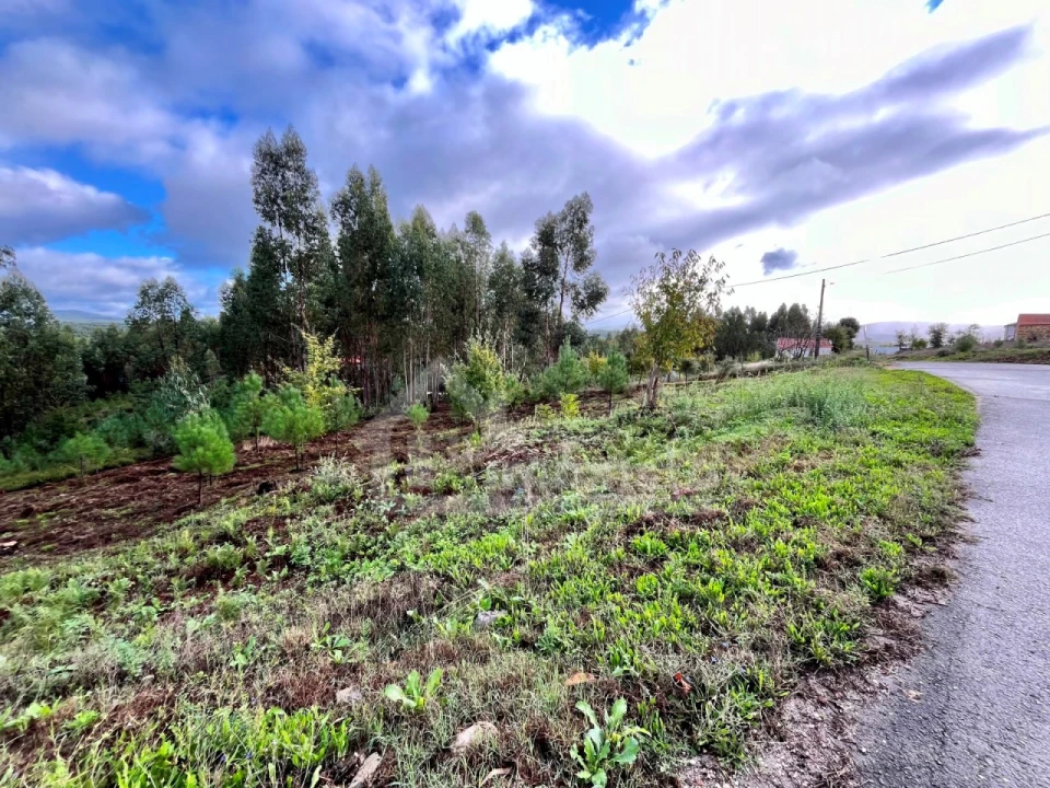 Terreno Agricola ou Rústico para Venda em Graça Foto 1