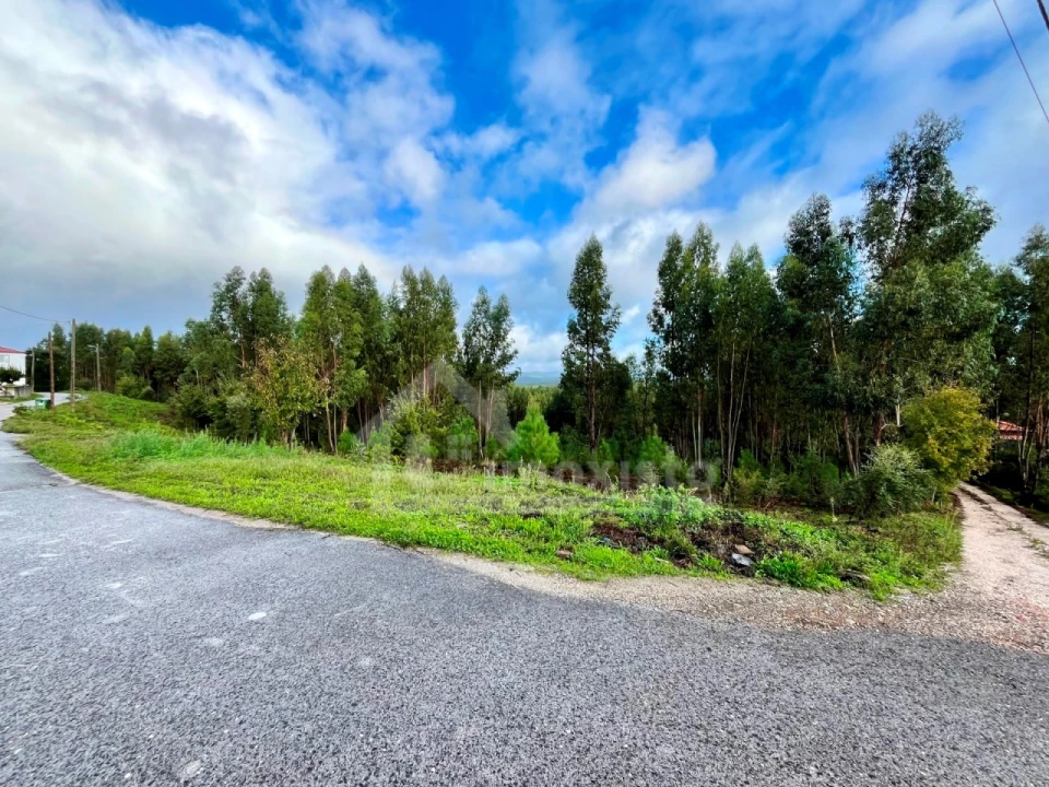 Terreno Agricola ou Rústico para Venda em Graça Foto 3