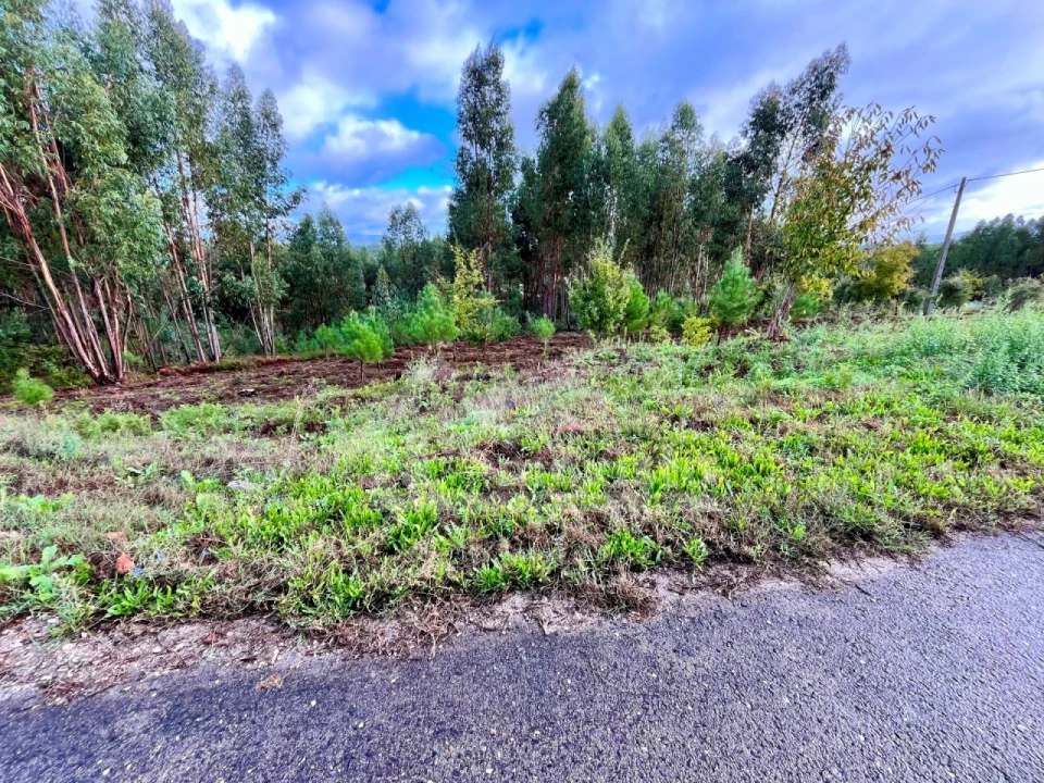 Terreno Agricola ou Rústico para Venda em Graça Foto 4