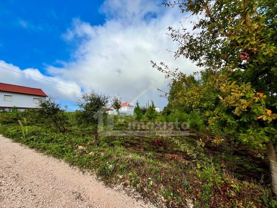 Terreno Agricola ou Rústico para Venda em Graça Foto 8