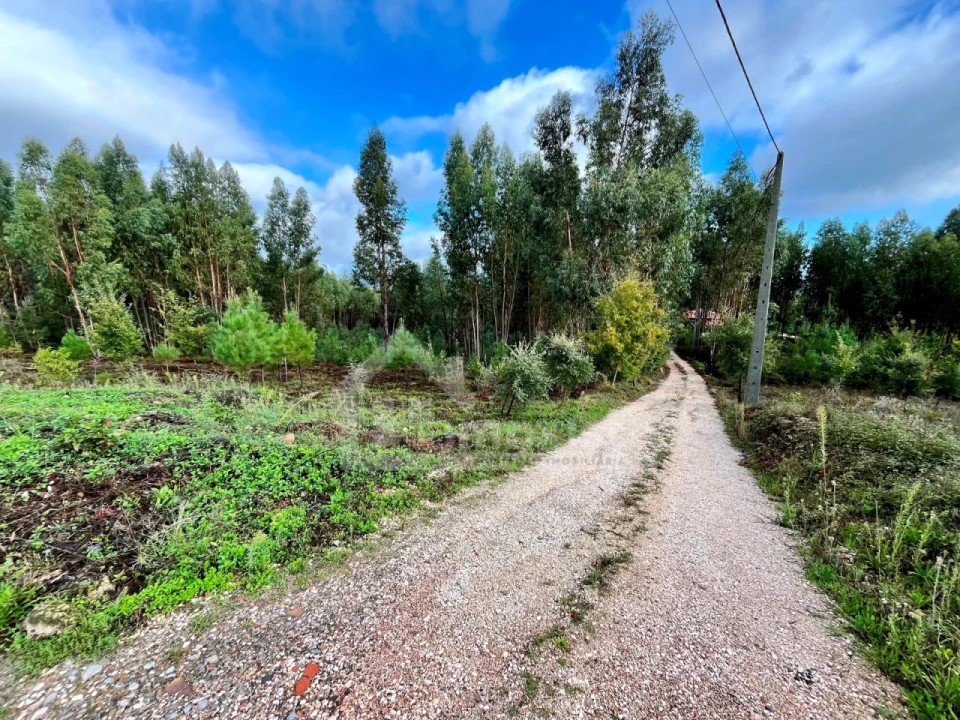 Terreno Agricola ou Rústico para Venda em Graça Foto 9