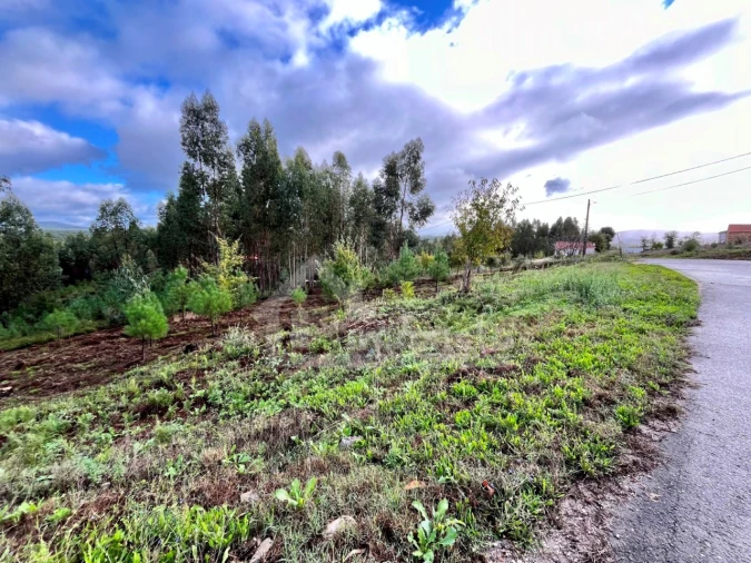 Terreno Agricola ou Rústico para Venda em Graça Foto 1