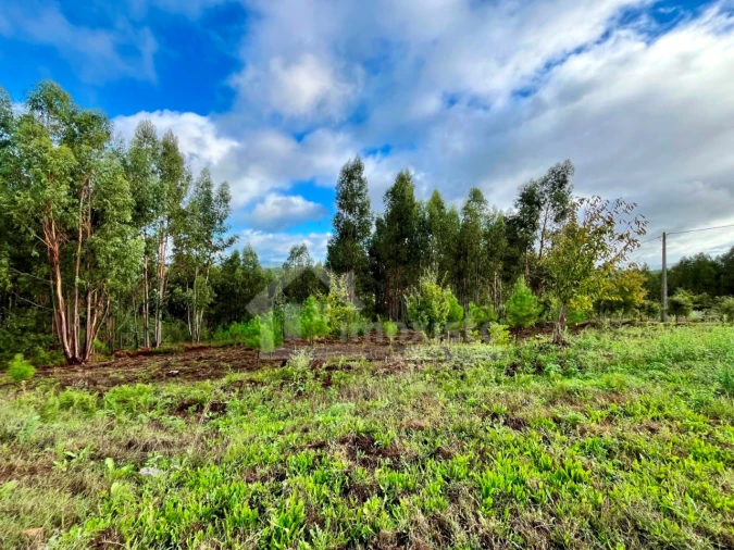 Terreno Agricola ou Rústico para Venda em Graça Foto 5