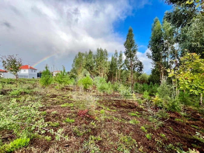 Terreno Agricola ou Rústico para Venda em Graça Foto 7