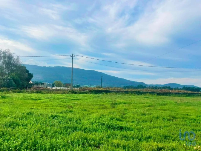 Terreno para Venda em Riba de Ancora Foto 10