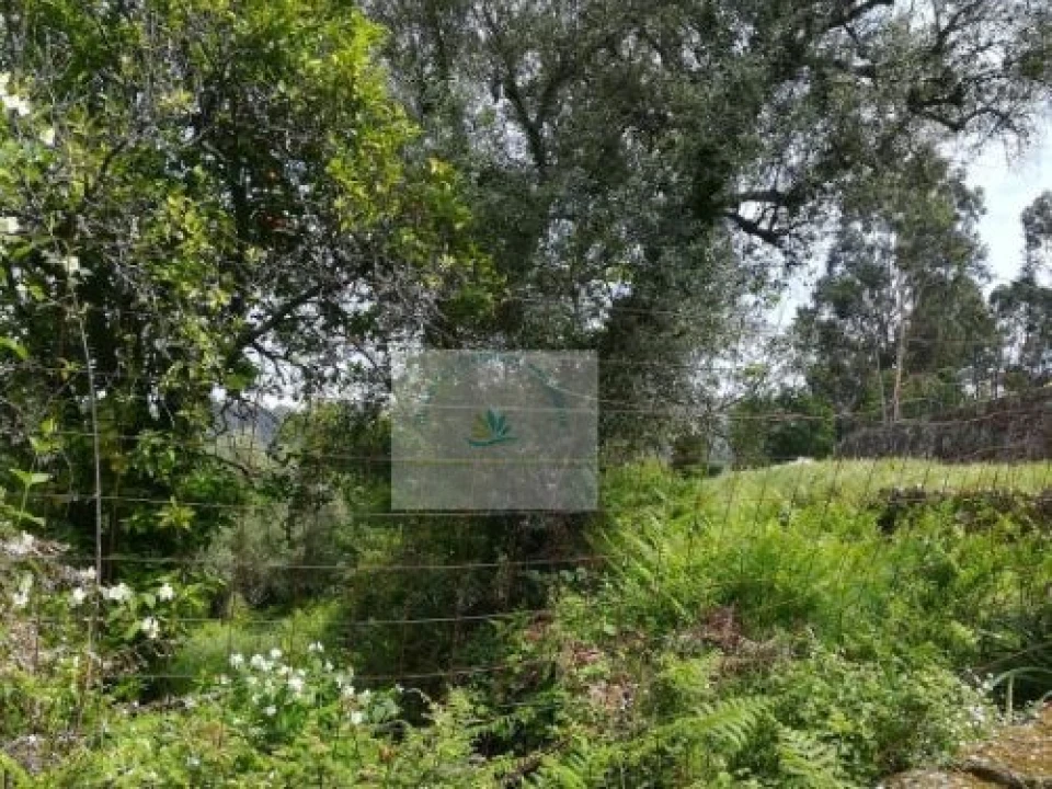Terreno para Venda em Bravães Foto 5