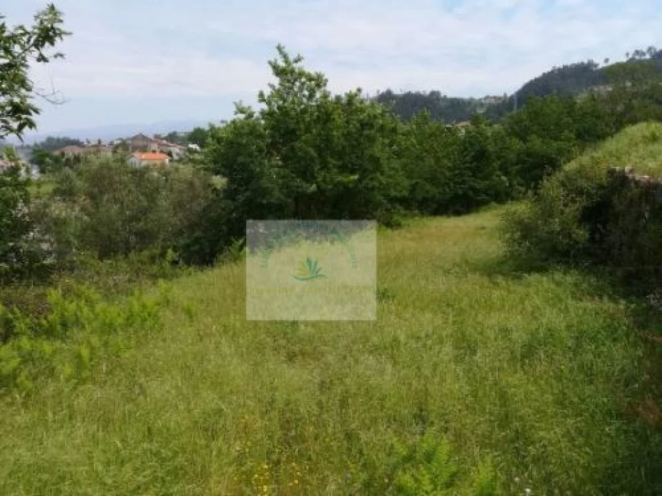 Terreno para Venda em Bravães Foto 1