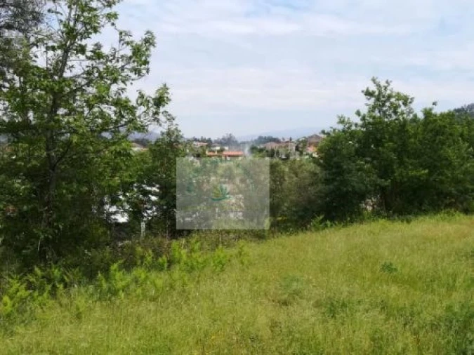 Terreno para Venda em Bravães Foto 4