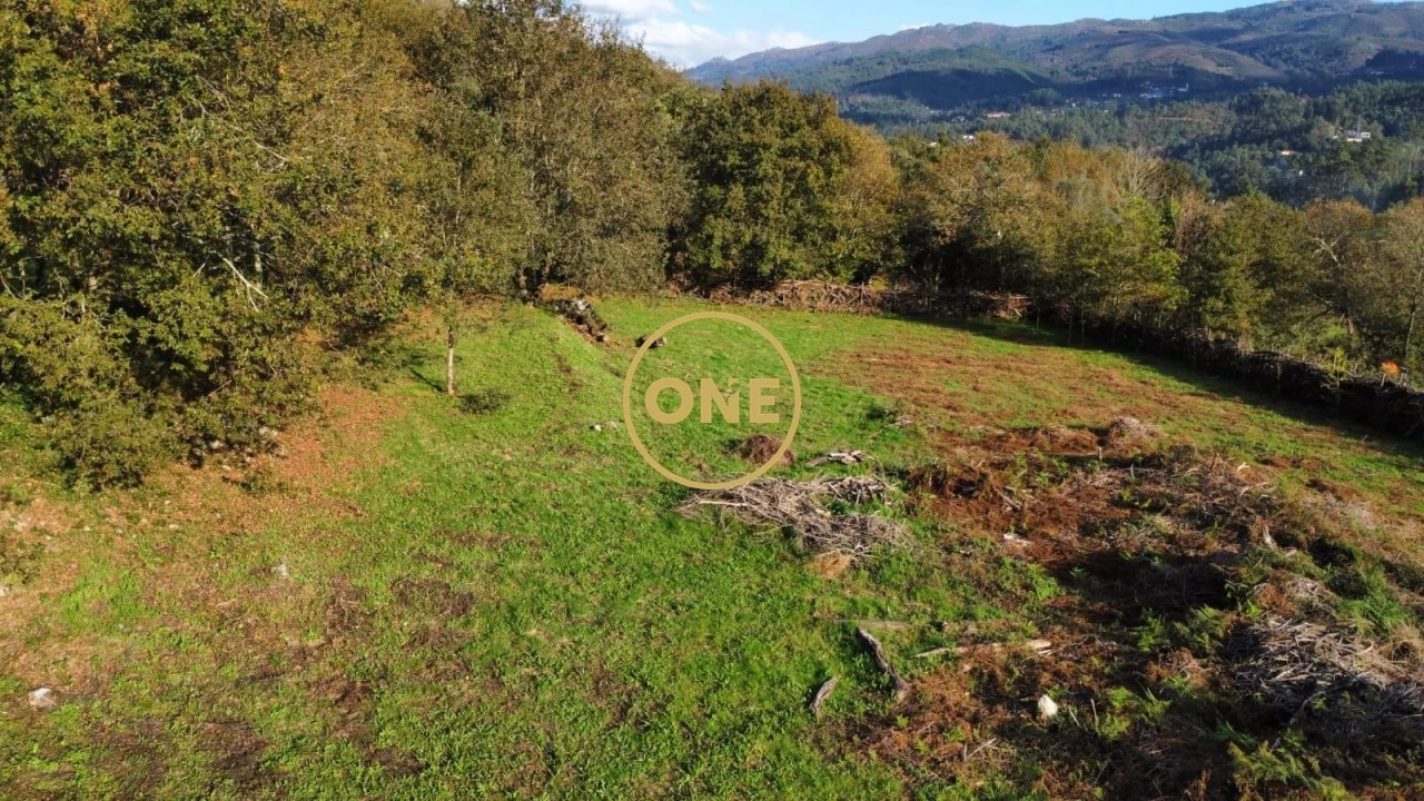 Quinta para Venda em Vade Foto 30